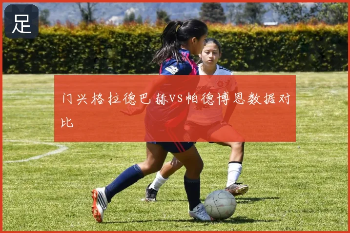 门兴格拉德巴赫vs帕德博恩数据对比