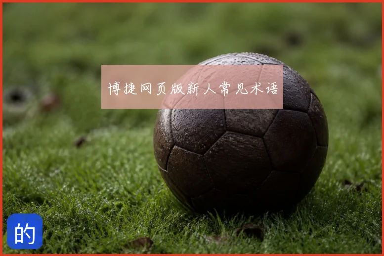 博捷网页版新人常见术语